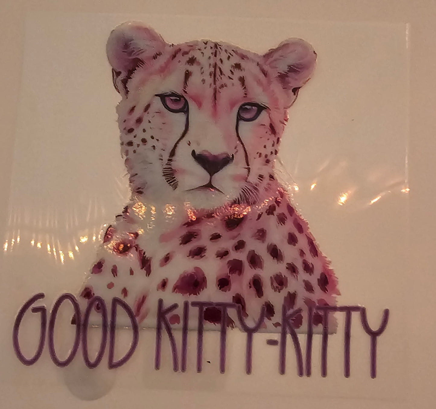 Good Kitty Nitty Decal