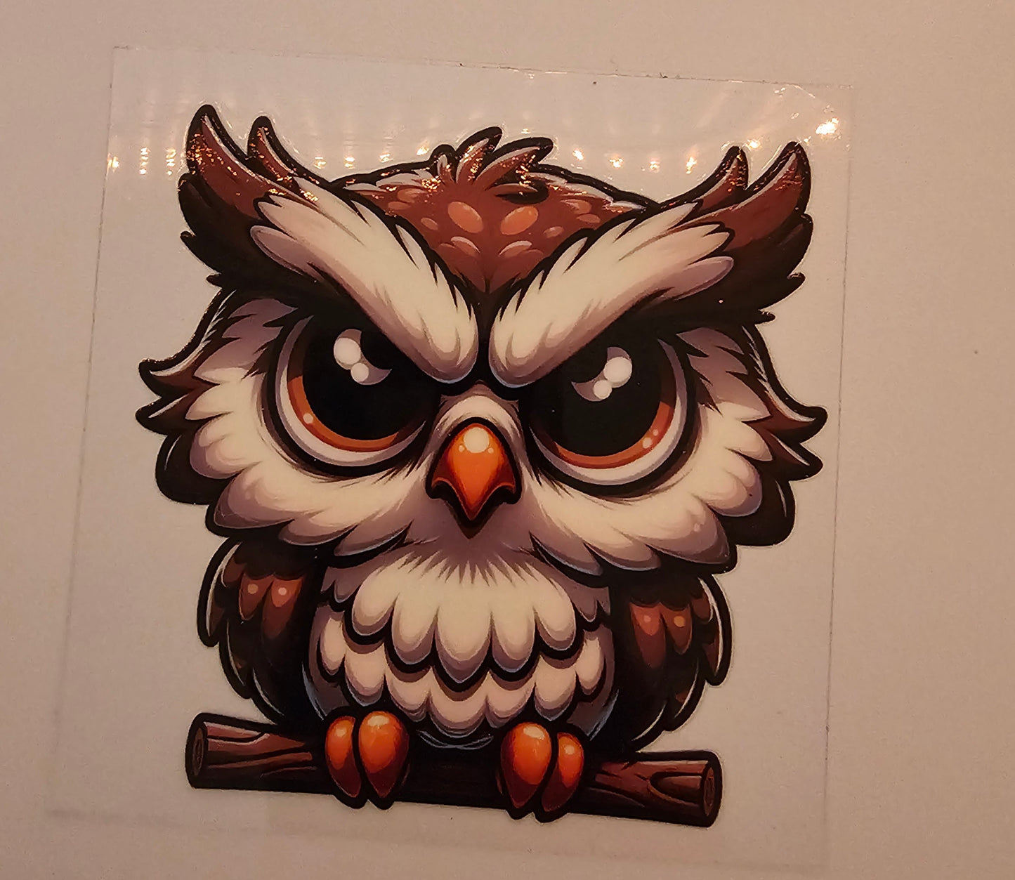 Owl Decal