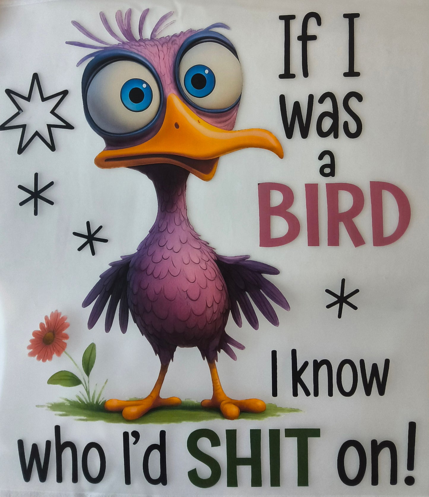 If i was a bird.......