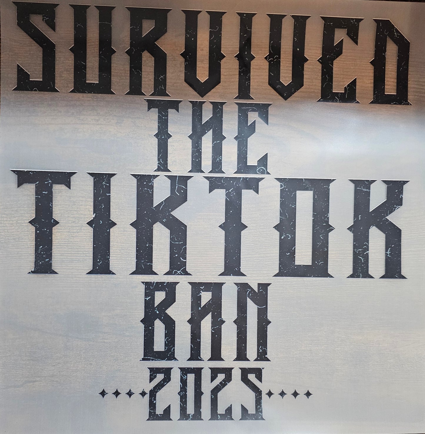 Survived the Tik Tok Ban