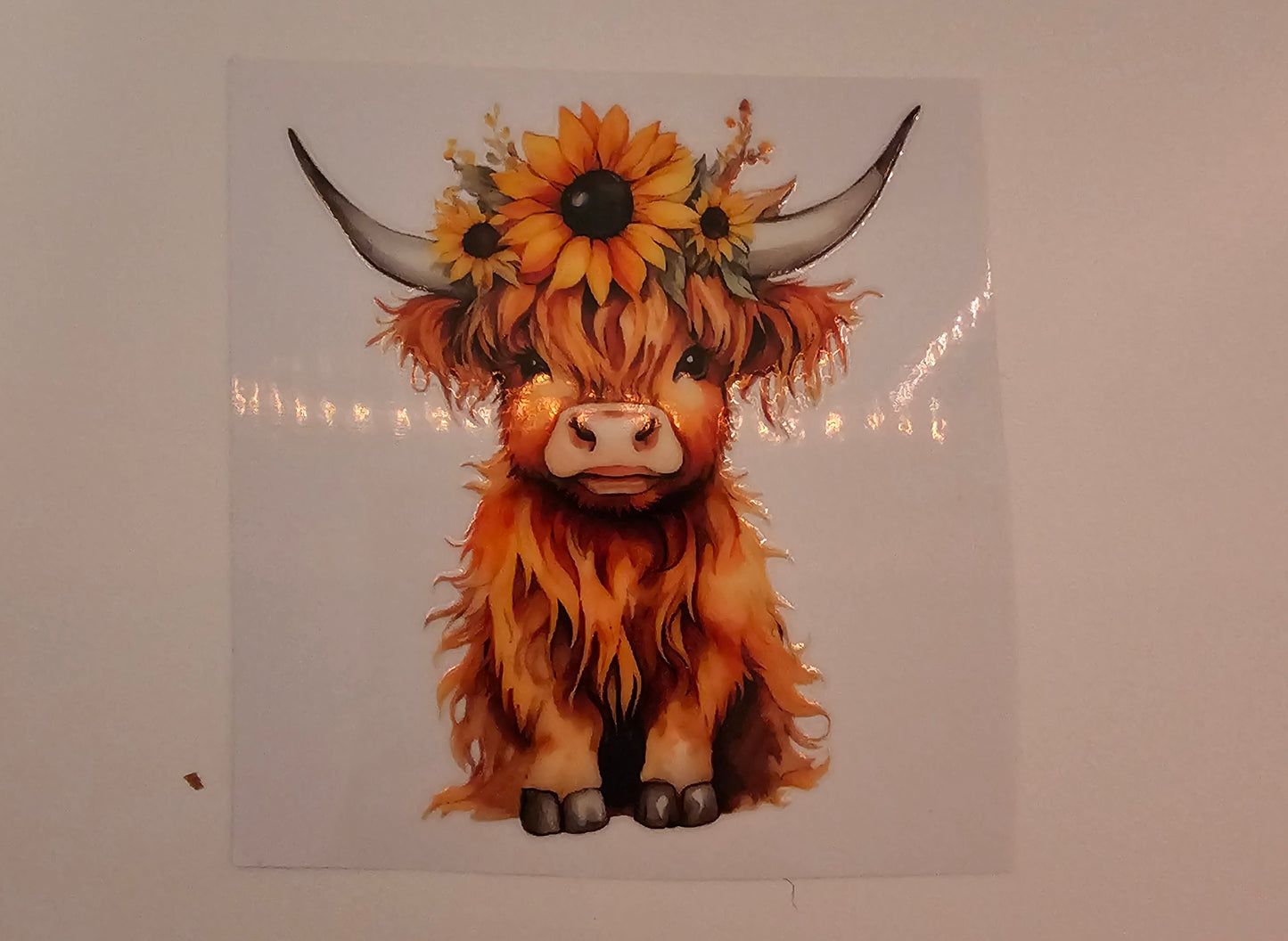 Highland Cow Decal