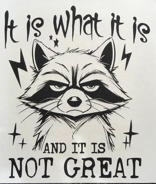 It is what it is......