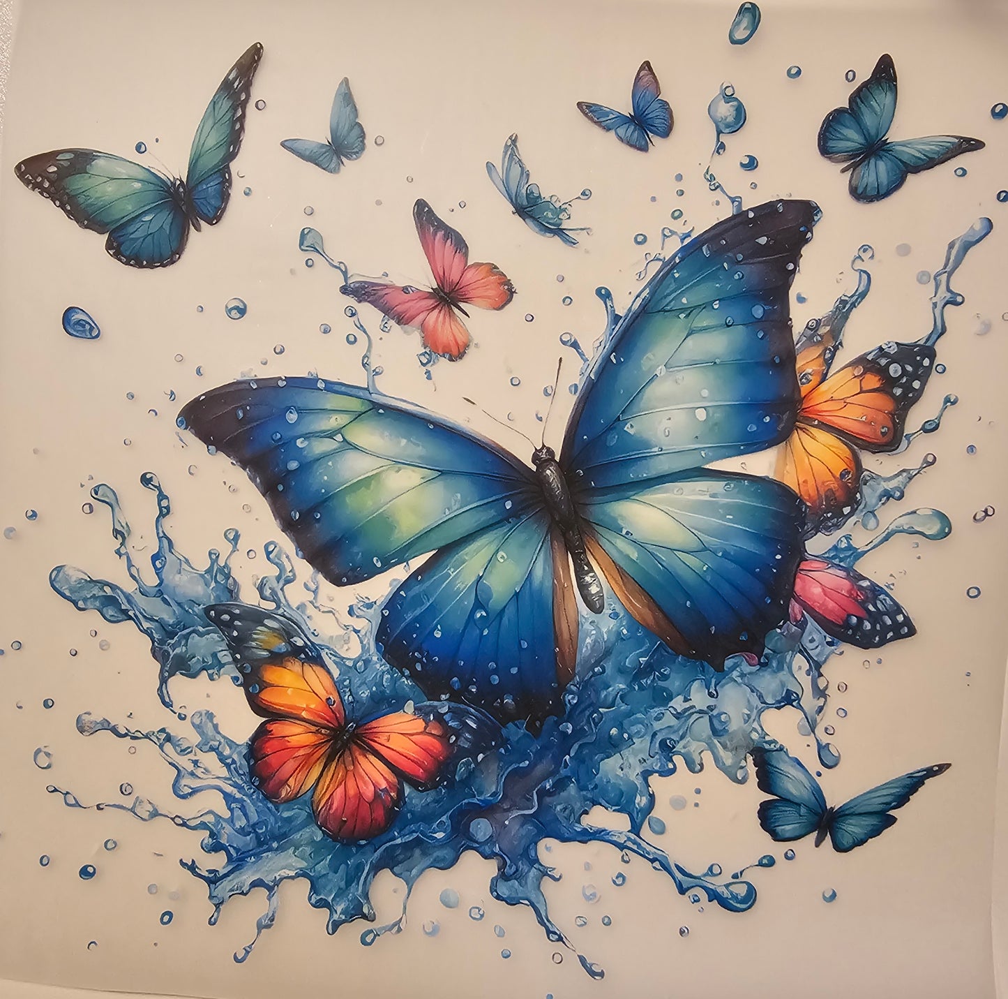 Butterfly