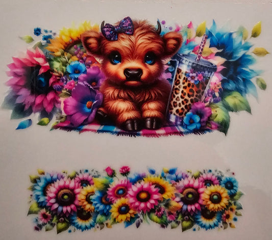 Decal