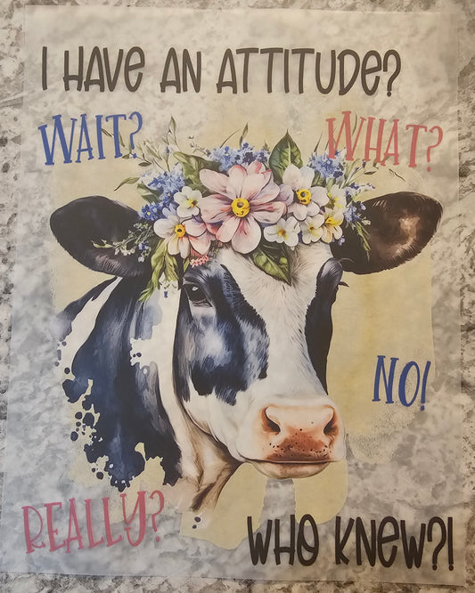 I have an attitude....