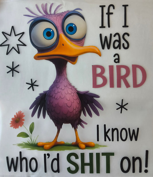 If i was a bird.......