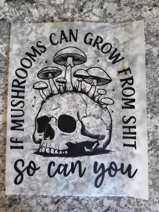 If mushrooms can grow.....