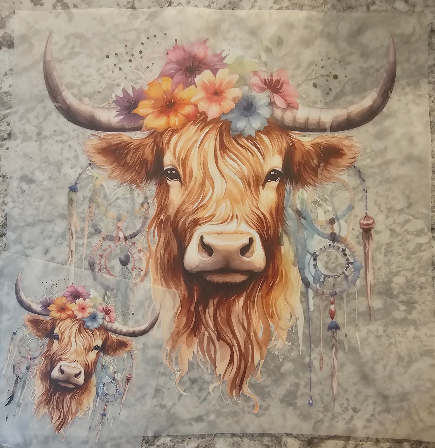 Highland cow