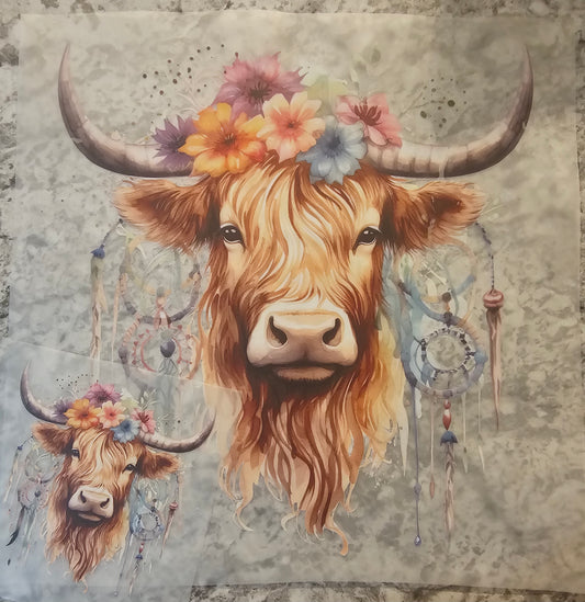 Highland cow