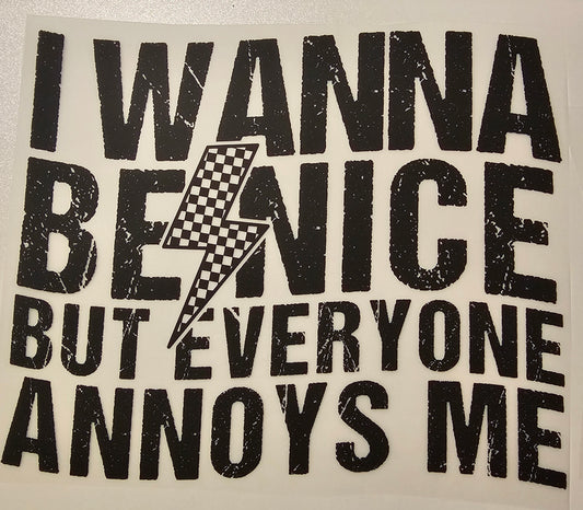 I wanna be nice.....