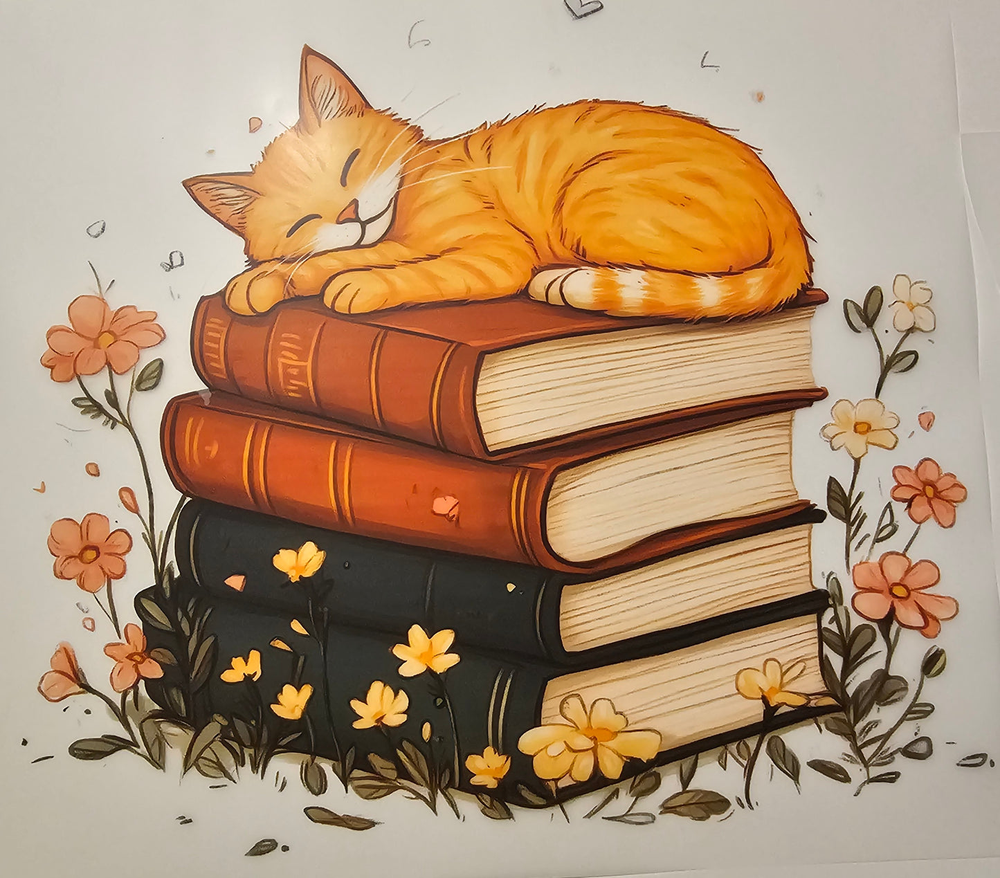 Cat on books