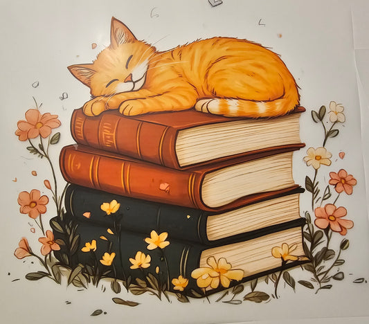 Cat on books