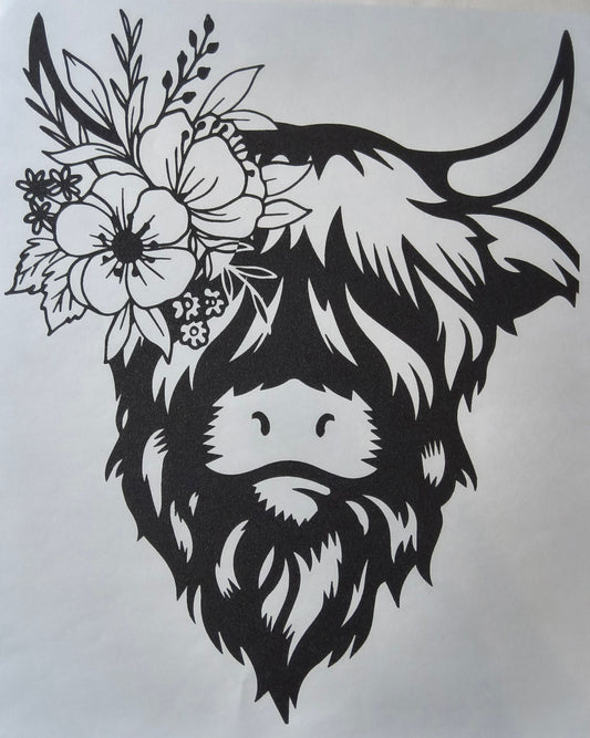 Highland Cow
