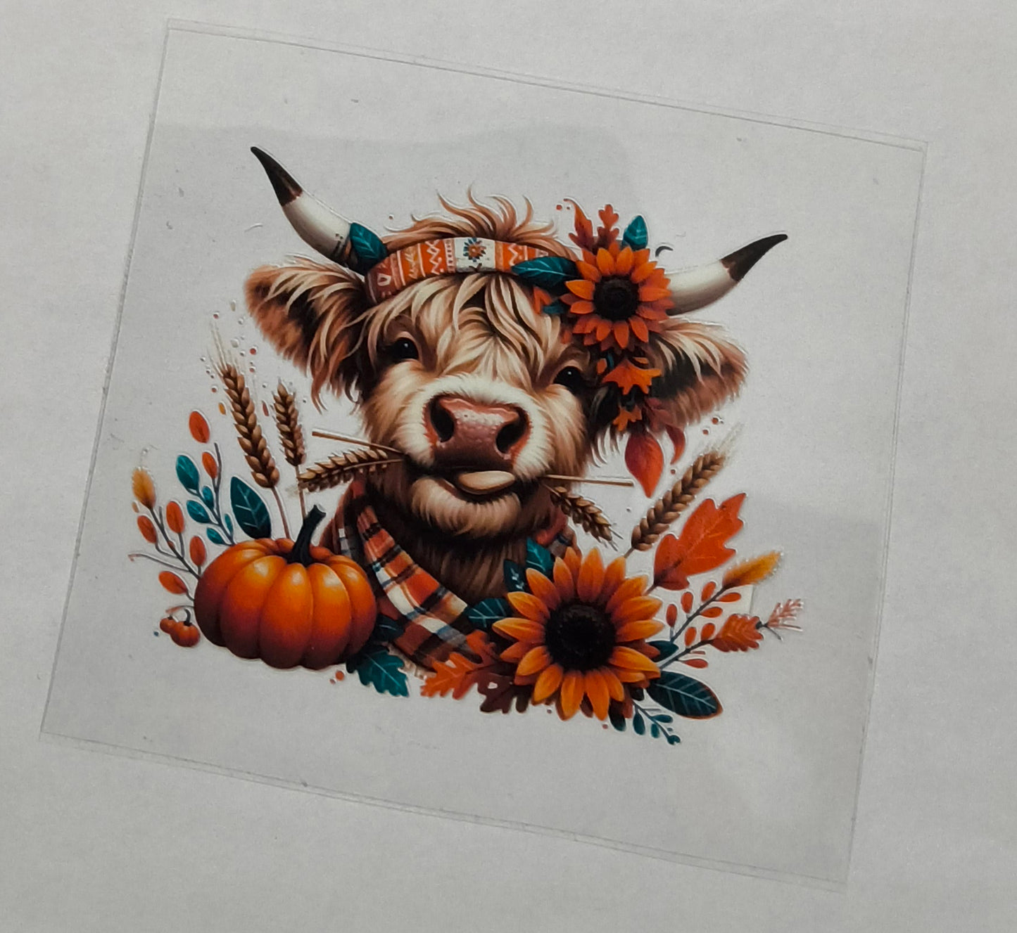 Decal