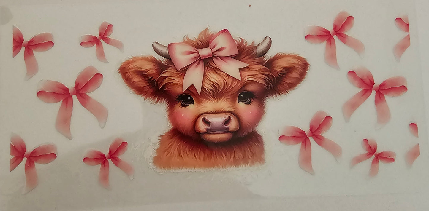 Highland Cow