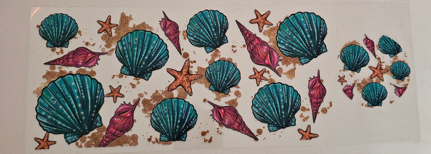 Seashells