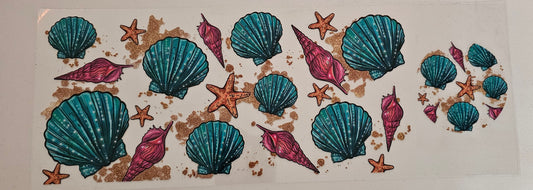 Seashells