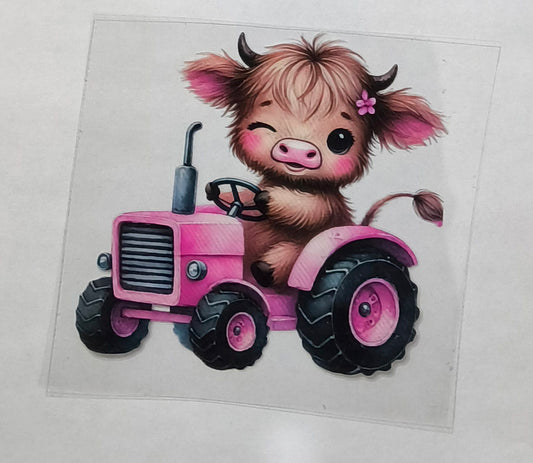Decal