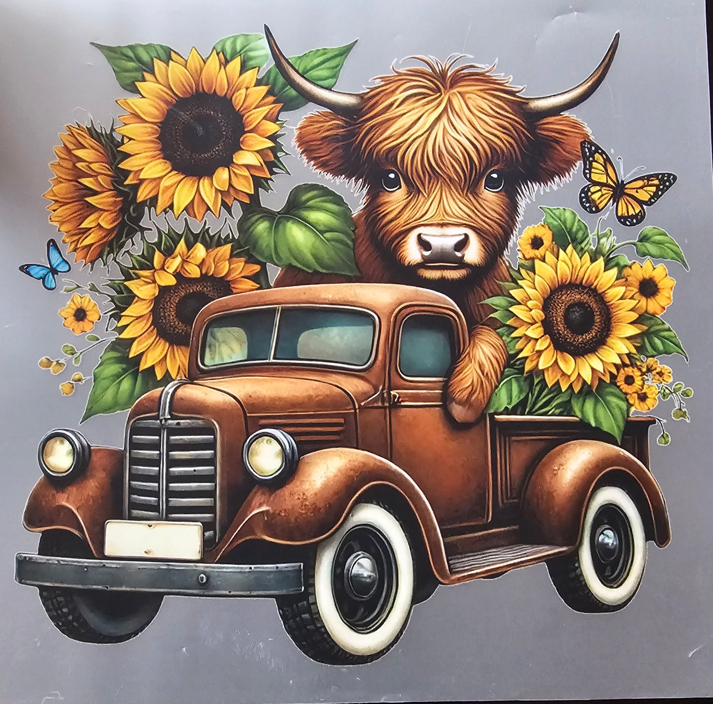 Sunflower Highland Cow